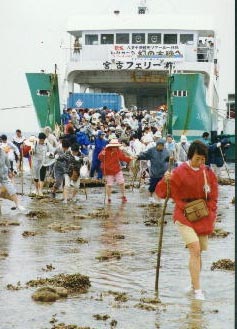 やびじ